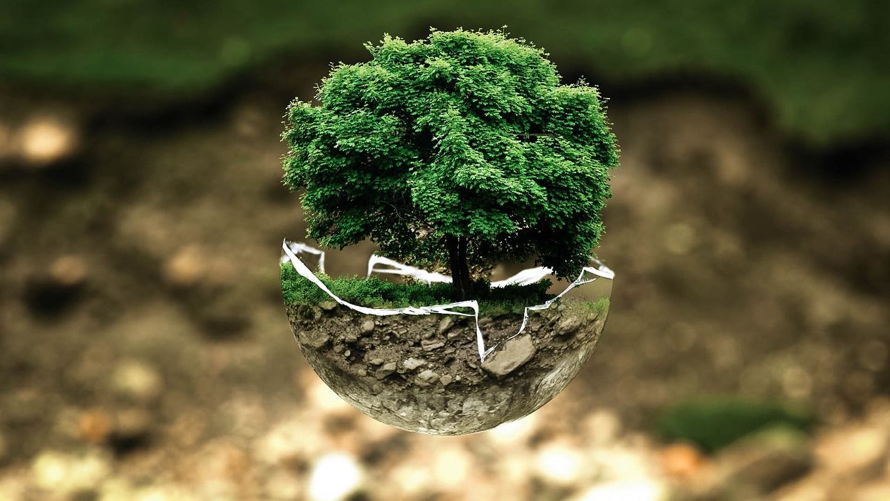 découvrez l'impact environnemental de la fast fashion : pollution, exploitation des ressources et solutions pour une mode plus durable.