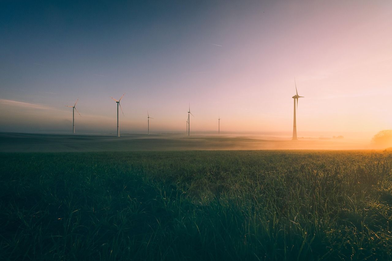 découvrez l'importance de l'environnement et les enjeux écologiques actuels. explorez des solutions durables pour préserver notre planète et promouvoir un avenir meilleur pour les générations futures.