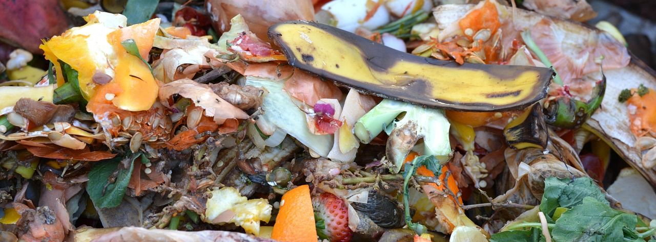 découvrez les bases du compostage : une méthode écologique pour transformer vos déchets organiques en un engrais naturel. apprenez comment démarrer, quels matériaux utiliser et les bienfaits du compost pour votre jardin et l'environnement.