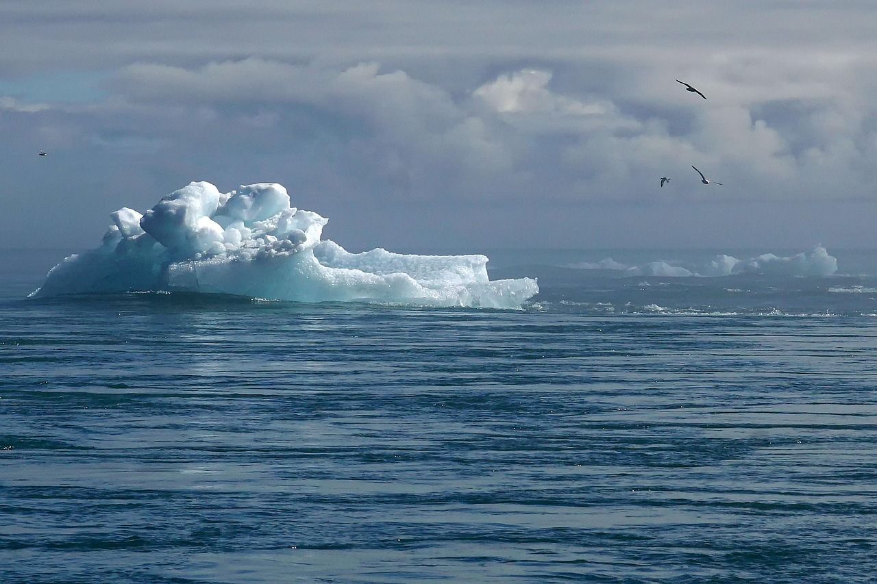découvrez l'importance de l'action climatique, les initiatives pour lutter contre le réchauffement climatique et les solutions pour protéger notre planète. informez-vous sur les gestes à adopter et les politiques en faveur de l'environnement.