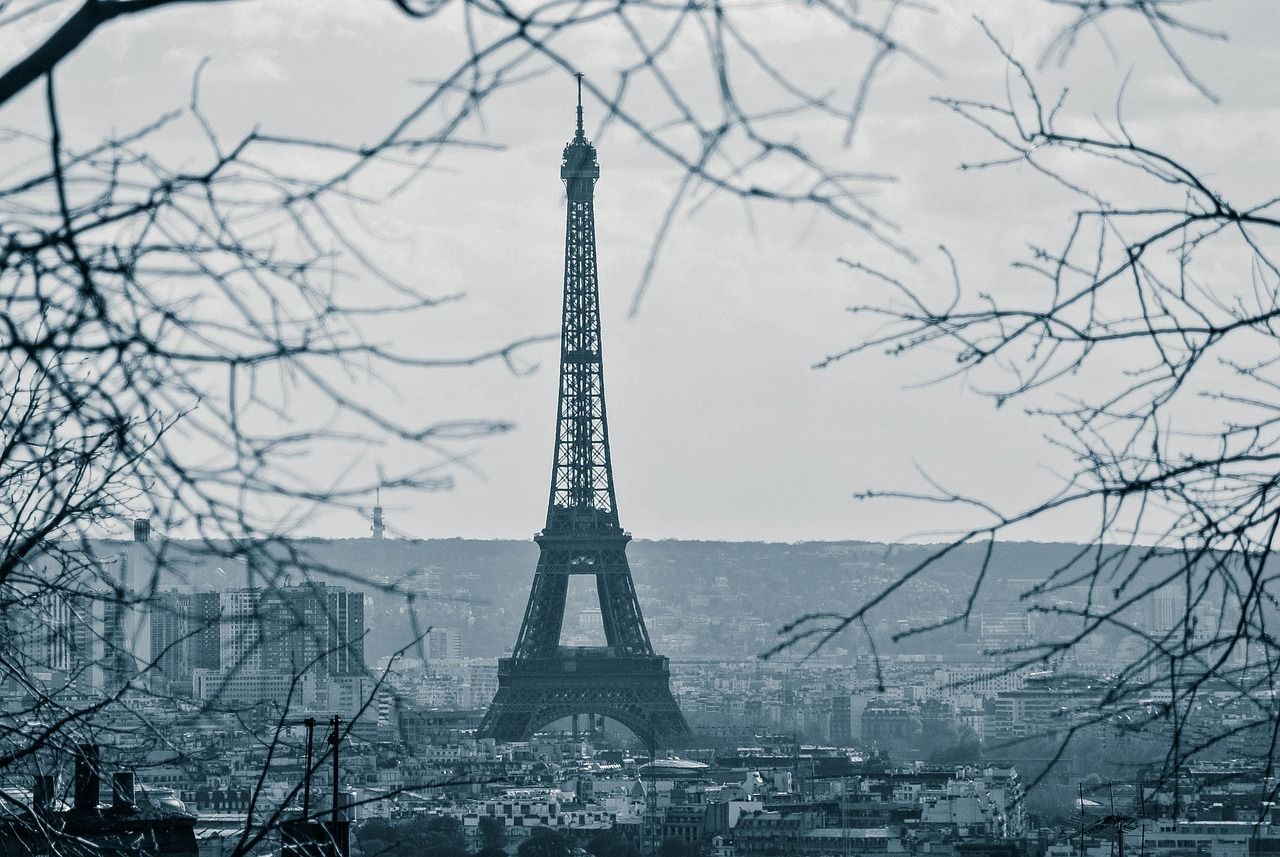 découvrez les succès écologiques majeurs qui transforment notre planète et inspirent un avenir durable.