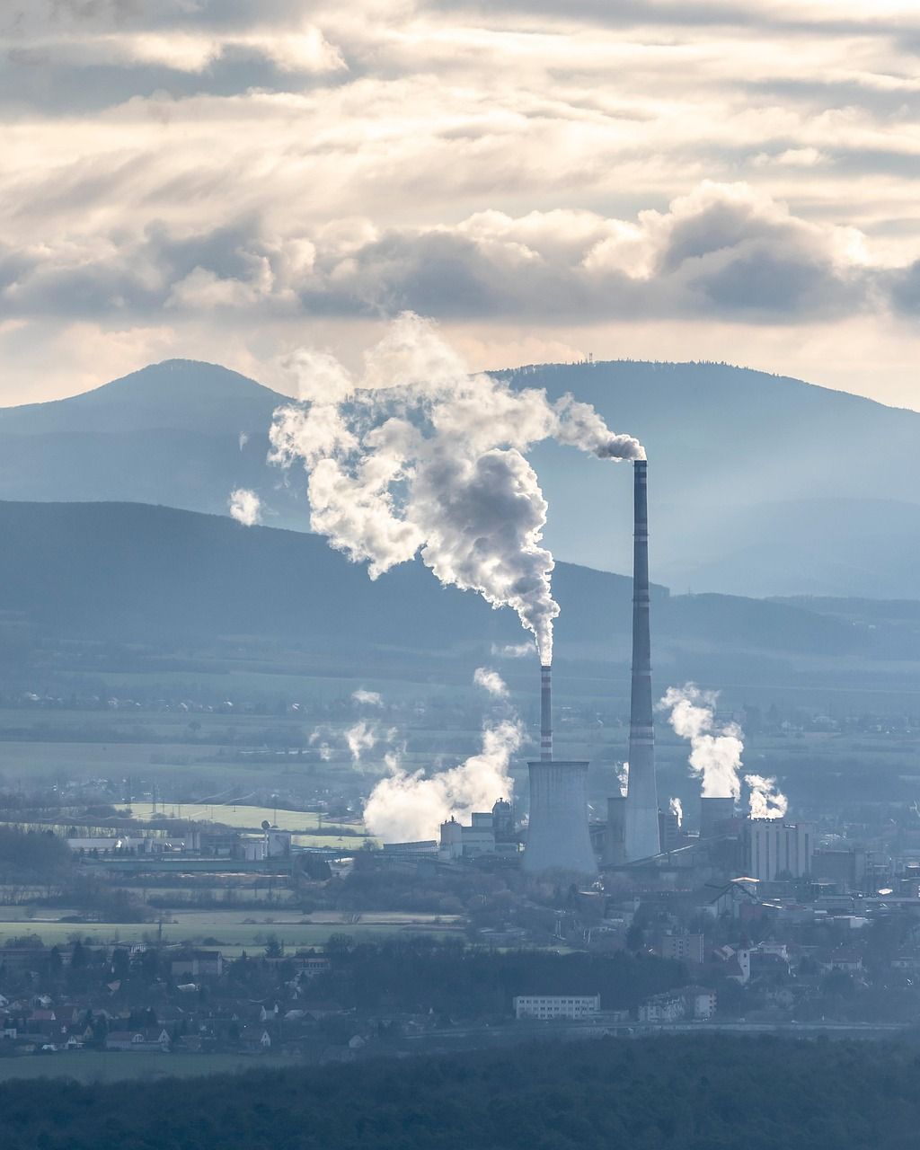 découvrez les opportunités d'investissement à faible empreinte carbone. explorez comment investir de manière responsable tout en contribuant à la transition énergétique et à la lutte contre le changement climatique.
