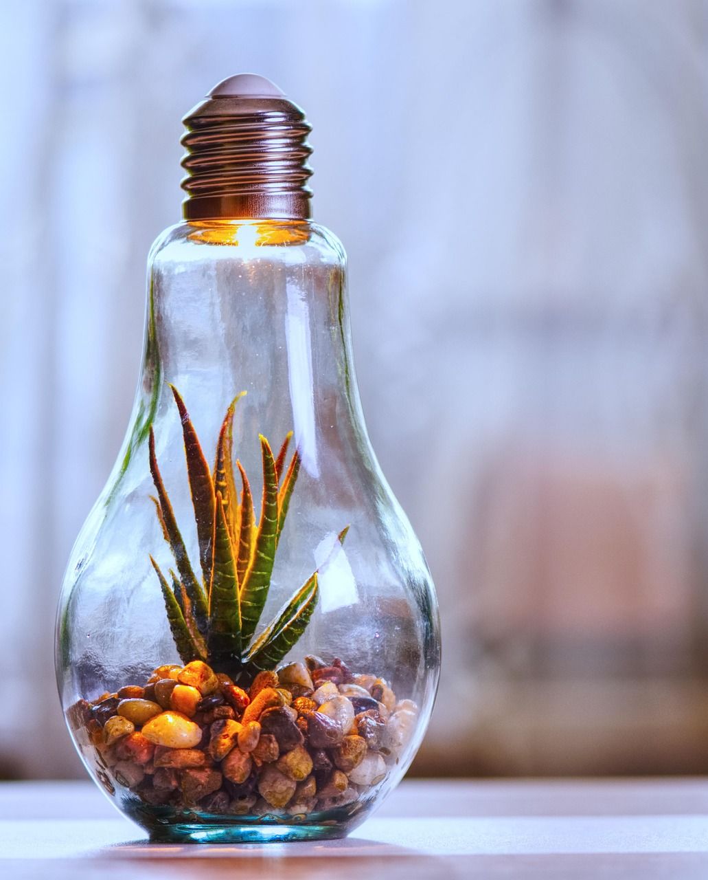 découvrez comment adopter une responsabilité environnementale au quotidien afin de préserver la planète, réduire votre empreinte écologique et favoriser un avenir durable.