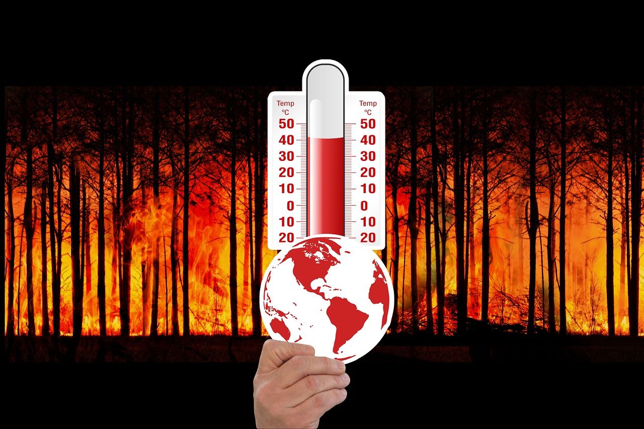 découvrez les causes, conséquences et solutions face au changement climatique. informez-vous sur les impacts environnementaux et les actions à adopter pour protéger notre planète.