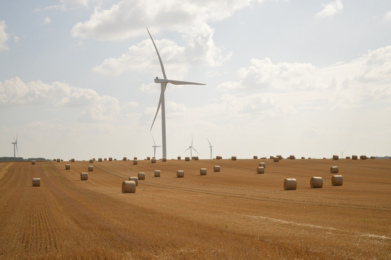 découvrez comment la production durable permet de protéger l'environnement tout en favorisant une croissance économique responsable et respectueuse des ressources naturelles.