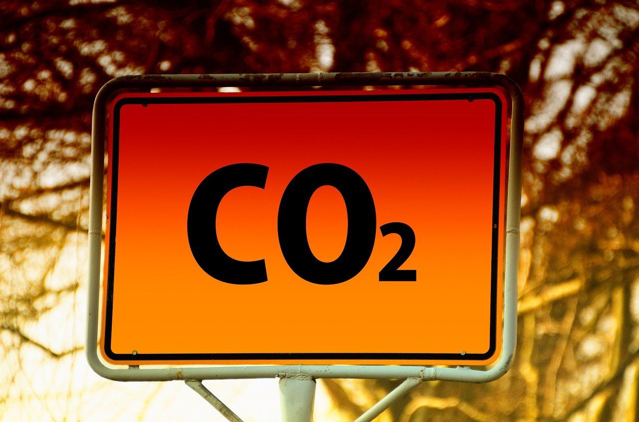 découvrez l'importance de la transition écologique pour un avenir durable, en adoptant des pratiques respectueuses de l'environnement et en réduisant notre impact carbone.