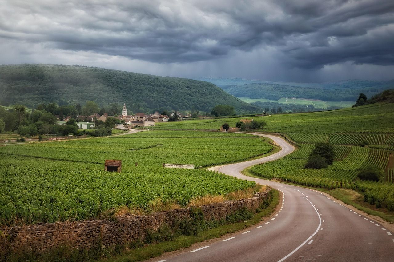 découvrez france fertilisants, votre expert en solutions de fertilisation pour une agriculture durable et performante. produits innovants et conseils personnalisés.