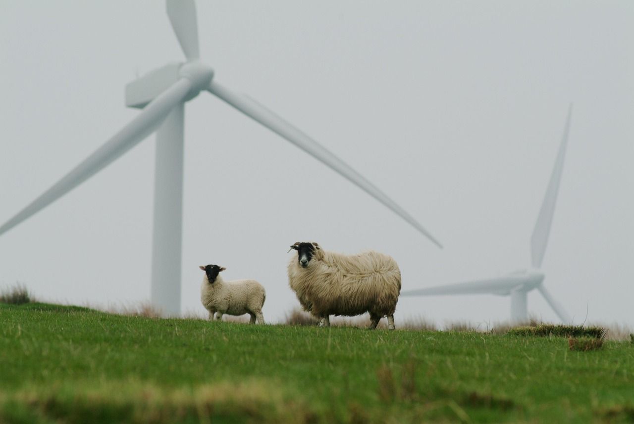 découvrez les meilleures pratiques et stratégies pour adopter un mode de vie durable et respecter l'environnement grâce à des conseils sur la durabilité.