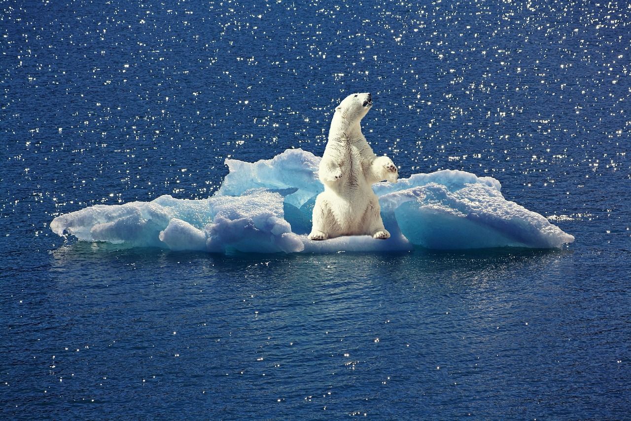 découvrez comment les disparités climatiques affectent nos sociétés : causes, impacts et solutions pour réduire les inégalités face au changement climatique.