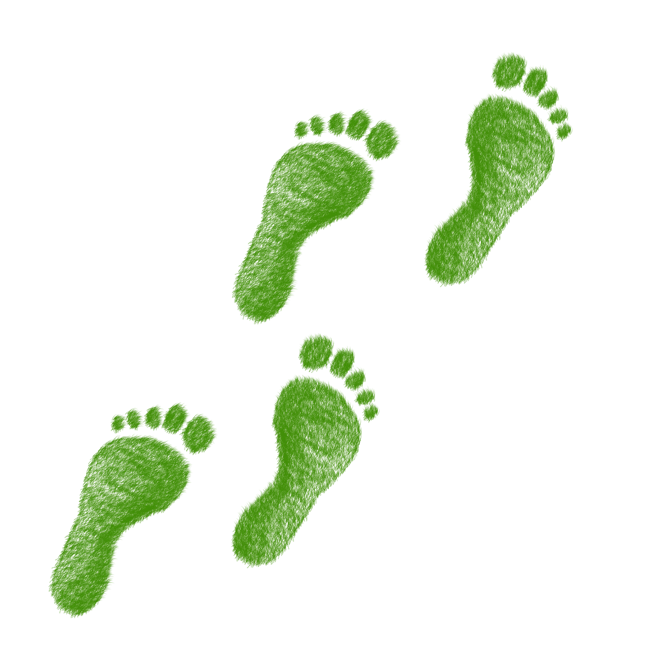 découvrez l'empreinte écologique, un indicateur essentiel qui mesure l'impact de nos activités sur la planète. apprenez comment réduire votre empreinte et adopter un mode de vie plus durable pour préserver notre environnement.