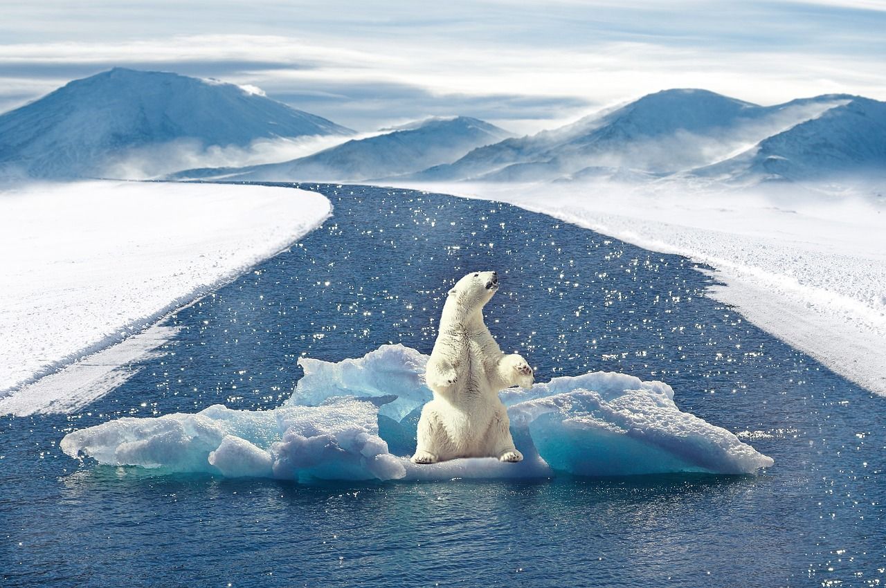 découvrez l'importance du climat, ses impacts sur notre planète et les solutions pour lutter contre le changement climatique. informez-vous sur les enjeux environnementaux actuels et les actions à entreprendre pour préserver notre avenir.