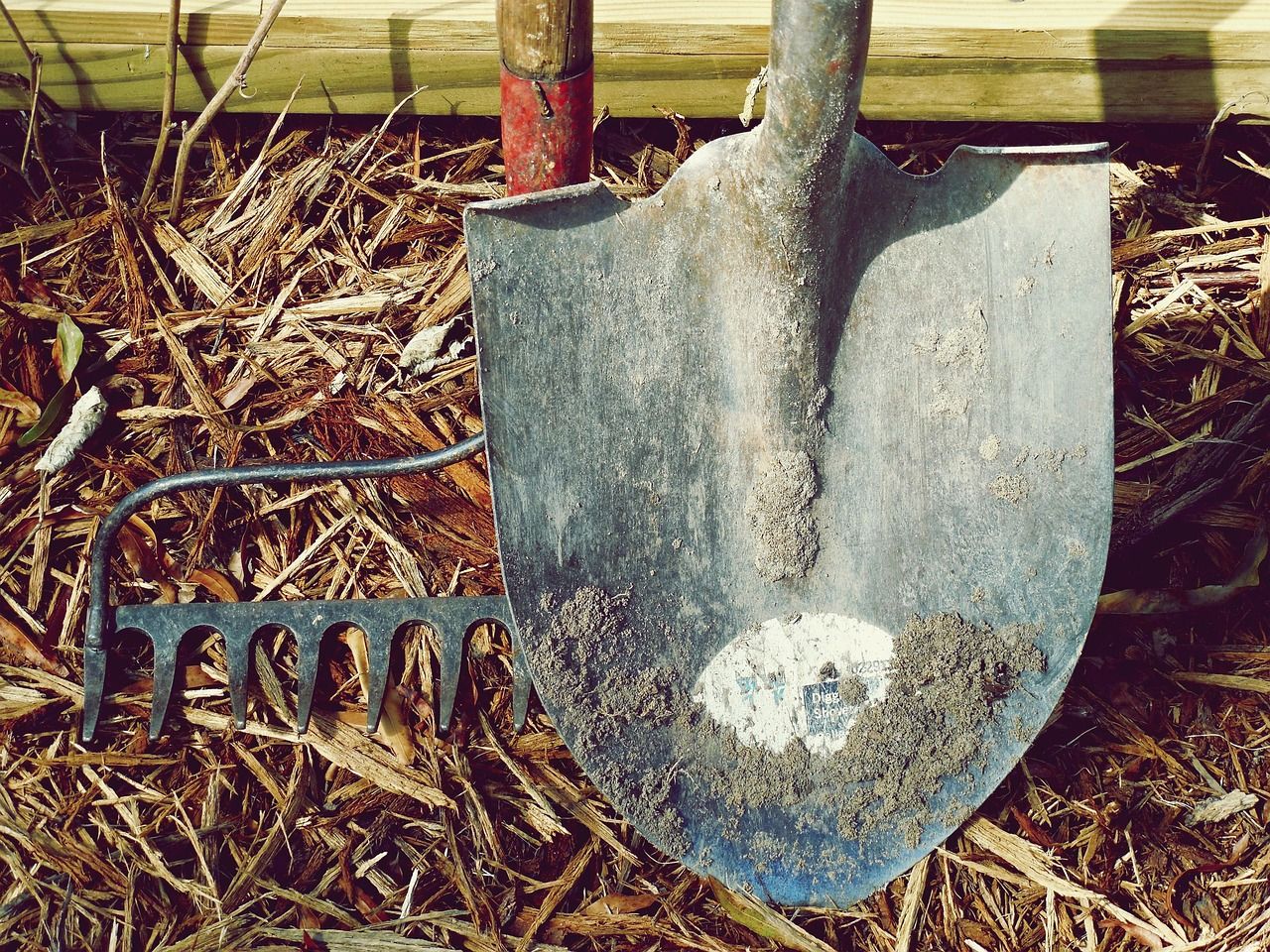 découvrez des outils durables et écologiques pour améliorer votre quotidien, réduire votre impact environnemental et adopter un mode de vie responsable. explorez des solutions innovantes pour un avenir plus vert.
