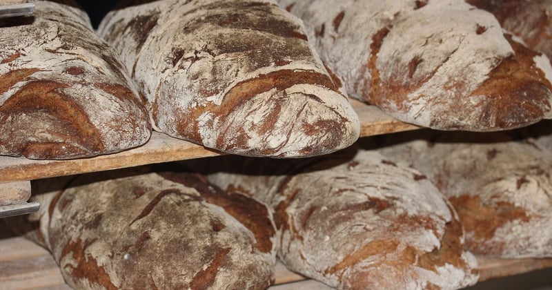Bilan carbone entreprise : 7 avantages concrets qui changent tout