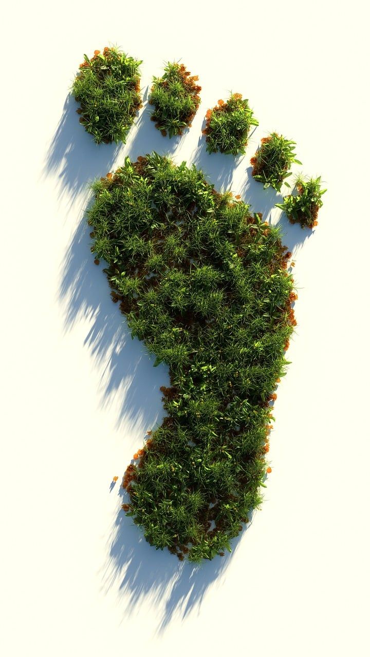 Découvrez l’empreinte écologique de votre présence en ligne : explorez notre simulateur sur l’impact des réseaux sociaux sur la planète.