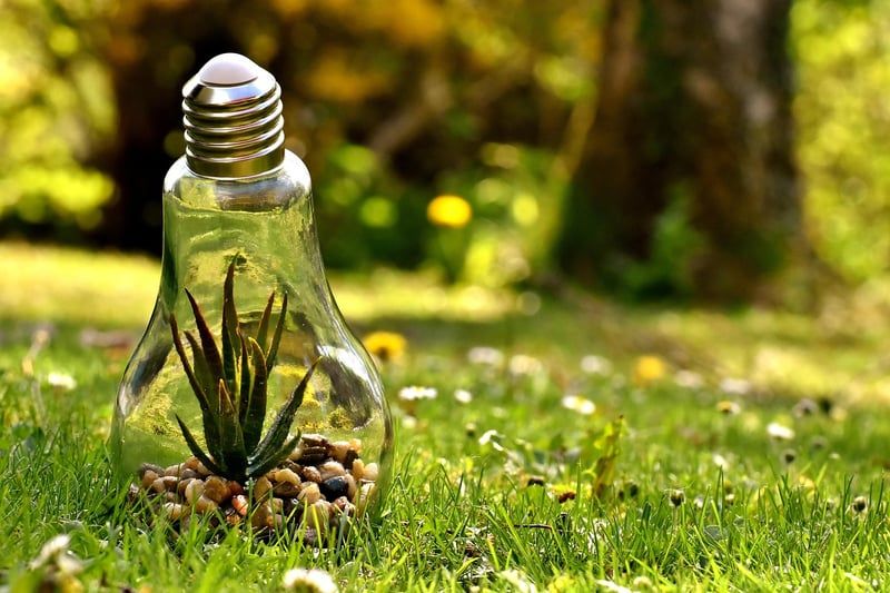 Bilan 2024 : Engagements et Actions de l’AFD en Matière de Responsabilité Environnementale et Sociétale