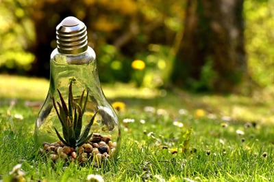 Bilan 2024 : Engagements et Actions de l’AFD en Matière de Responsabilité Environnementale et Sociétale
