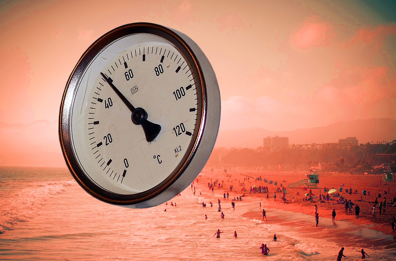 Réchauffement climatique : comprendre ses impacts sur notre planète