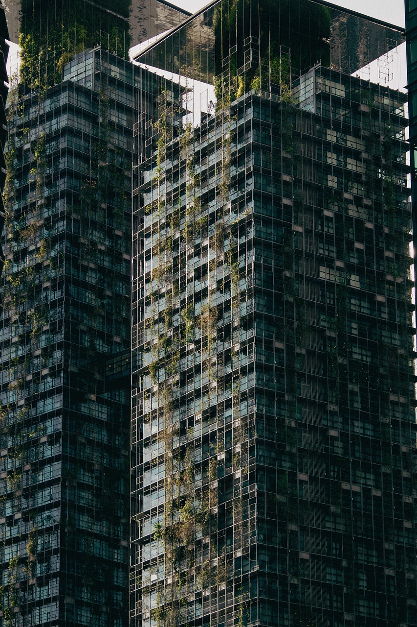 Voyager Responsable : Quel est le Coût Réel du Tourisme Bas Carbone ?