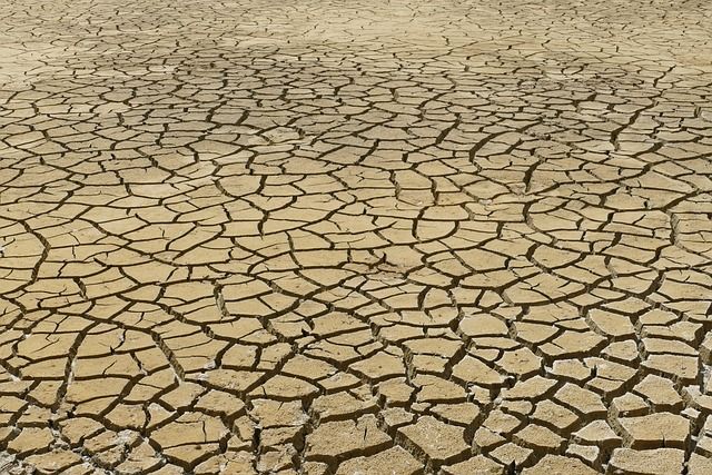 Changement climatique : comprendre les enjeux et les solutions