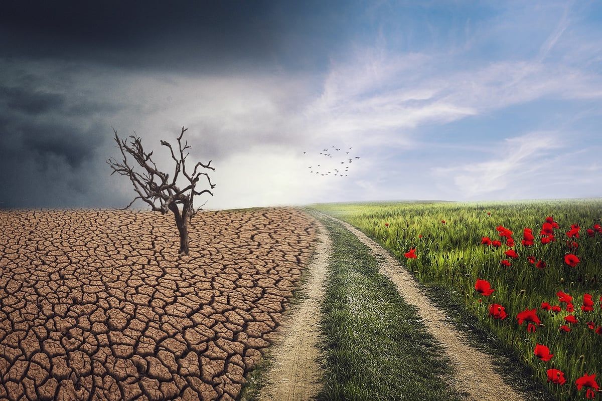 Changement climatique : des impacts de plus en plus visibles et préoccupants