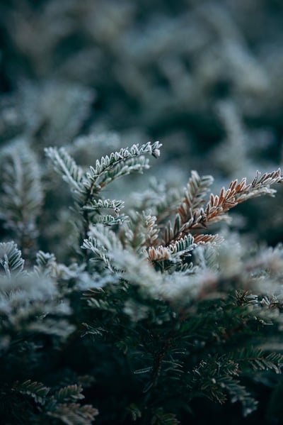 Solidarité environnementale : Agir ensemble pour un avenir durable
