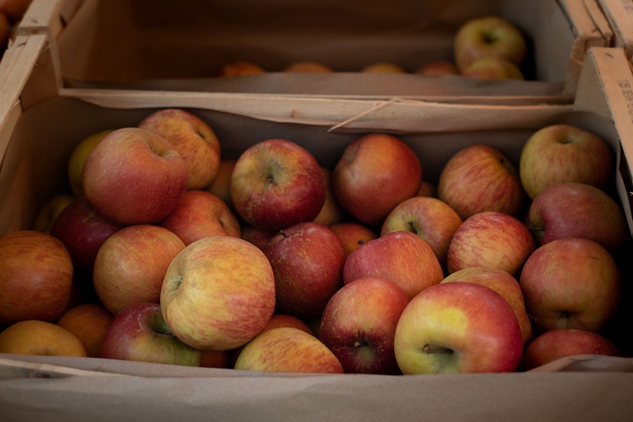 Nutrition durable : Adopter des pratiques saines pour l’environnement