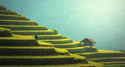 Propulser la transition climatique grâce à un système alimentaire durable, résilient et équitable