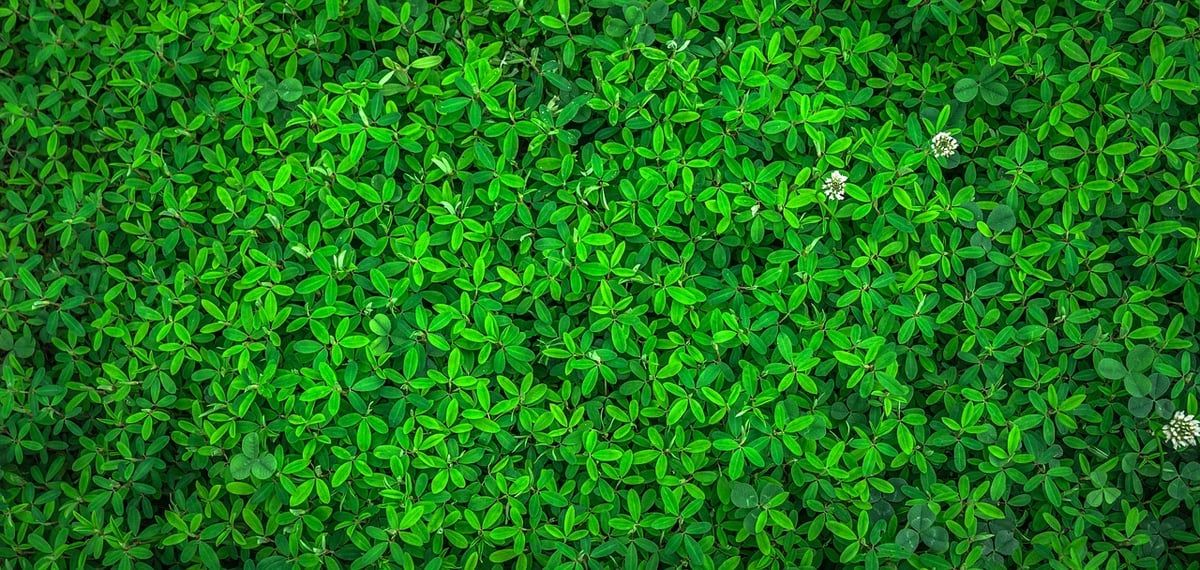À Entraygues-sur-Truyère, un garagiste engagé met son savoir-faire au service de l’environnement