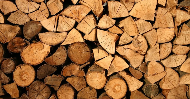 Mobilier en bois certifié : comment lire les labels sans se tromper