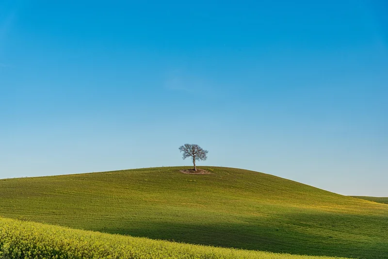 nature