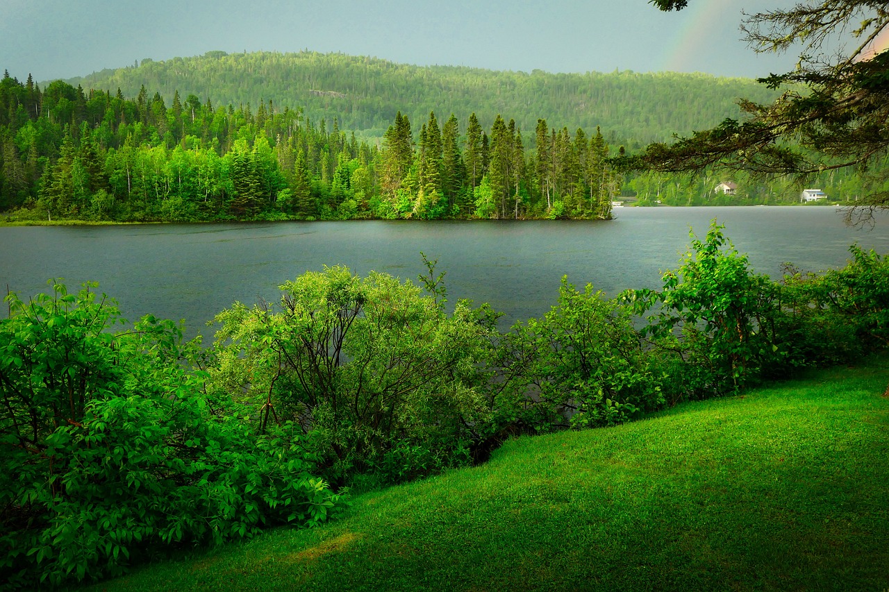 Comprendre la biodiversité dans le cadre d’un bilan carbone