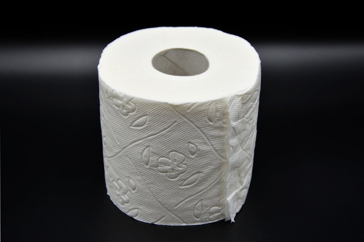 Pourquoi de nombreux jardiniers préfèrent désormais découper leurs rouleaux de papier toilette au jardin ?