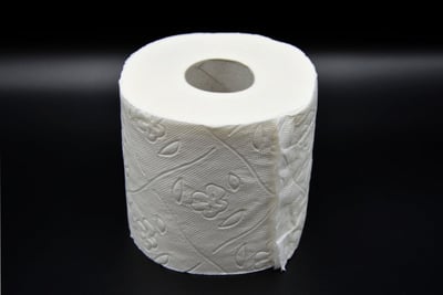 Pourquoi de nombreux jardiniers préfèrent désormais découper leurs rouleaux de papier toilette au jardin ?