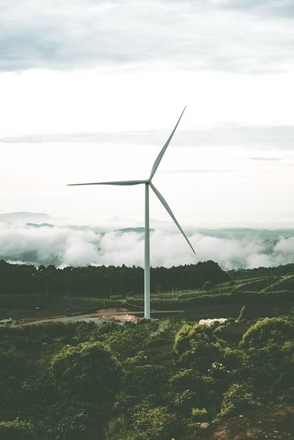 Durabilité : Les clés pour un avenir respectueux de l’environnement