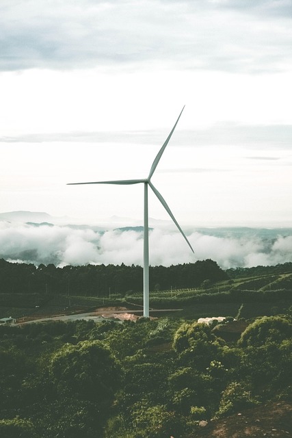 Durabilité : Les clés pour un avenir respectueux de l’environnement