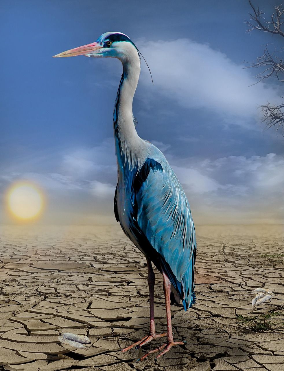 S’engager pour préserver notre planète et contrer le changement climatique