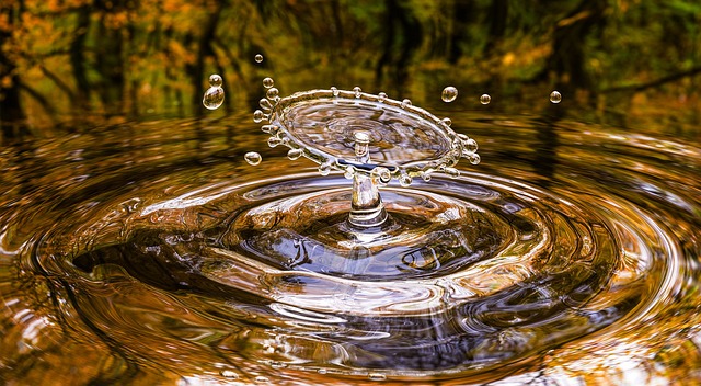 Économie circulaire : comment optimiser les ressources pour un avenir durable