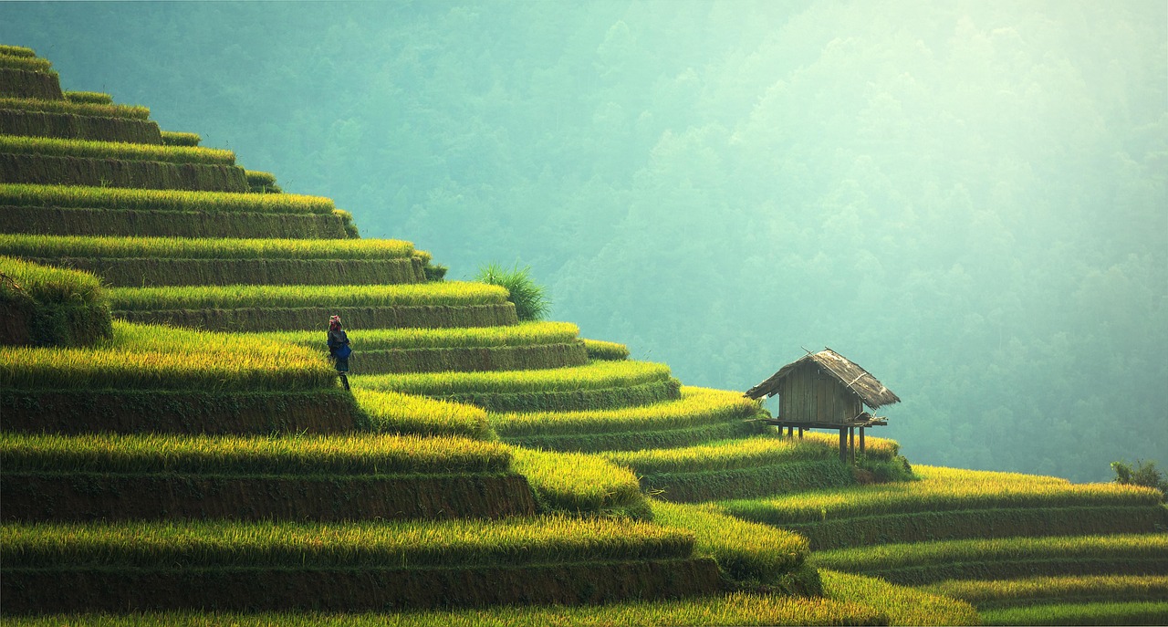 Sustainable development : comprendre les enjeux et les solutions pour un avenir durable