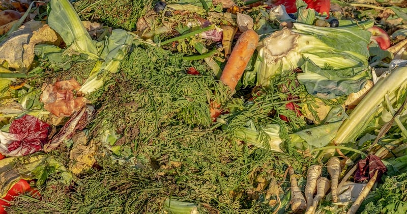 Comment composter ses déchets alimentaires en appartement sans odeurs