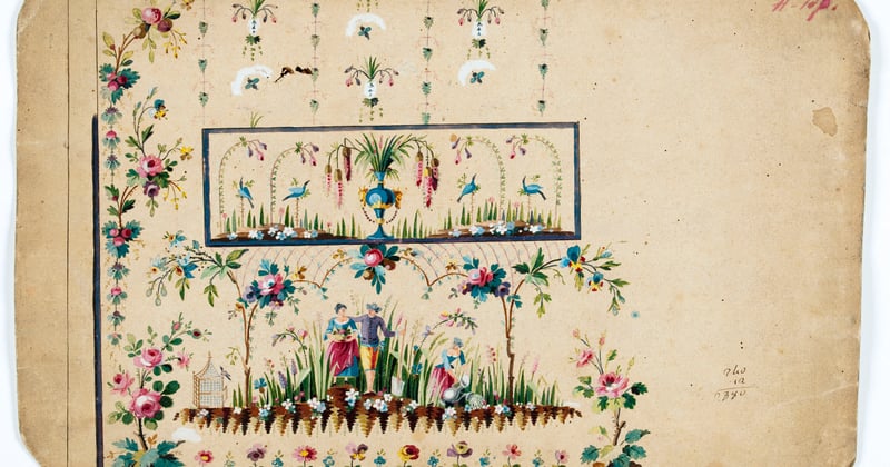 Comment économiser l'eau au jardin en été : 7 astuces simples et efficaces