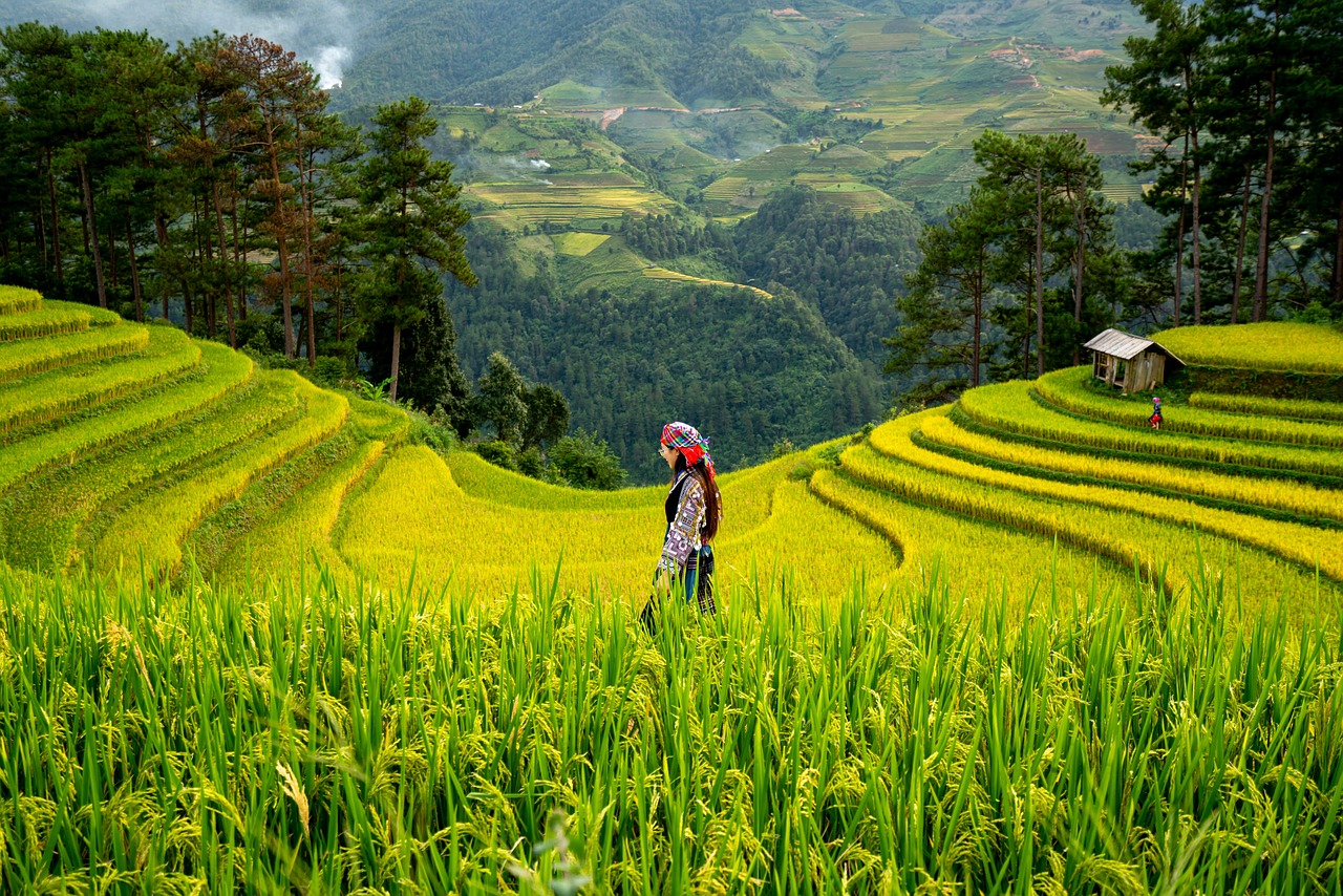 Agriculture durable : Les clés pour une production alimentaire respectueuse de l’environnement