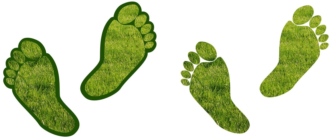 Les meilleures pratiques pour minimiser le bilan carbone des énergies renouvelables