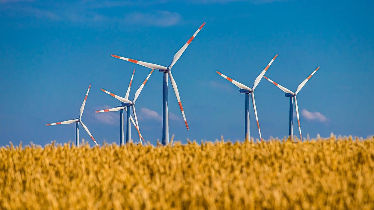 GreenGo : l’ascension remarquable du tourisme durable à la française