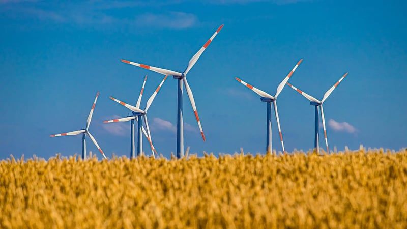 GreenGo : l’ascension remarquable du tourisme durable à la française