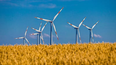 GreenGo : l’ascension remarquable du tourisme durable à la française