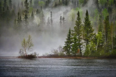 fleuve