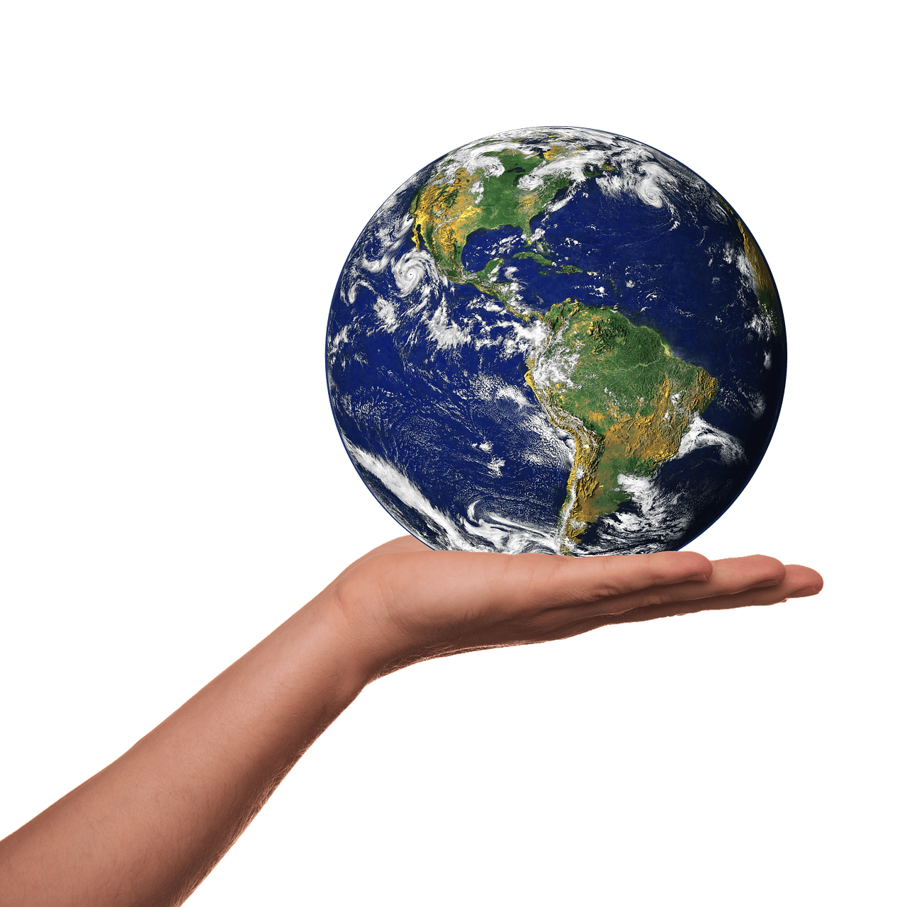 Sensibilisation environnementale : comprendre les enjeux pour un avenir durable