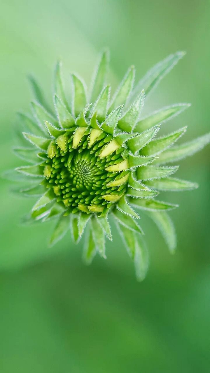 Habitats naturels : Découverte des écosystèmes fragiles et leur importance pour la biodiversité