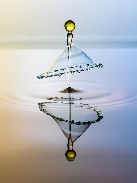 Ressources en eau : Comprendre leur gestion durable et leur impact sur l’environnement