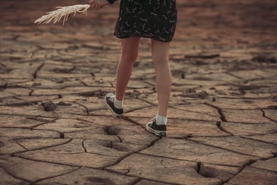 L’impact du changement climatique sur l’agriculture : un regard sur le bilan carbone